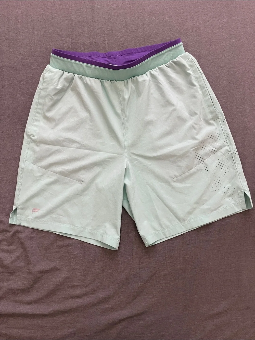 Fabletics Men's Mint Athletic Shorts with Purple Waistband